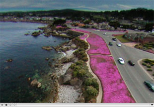 Photo: Pink Carpet