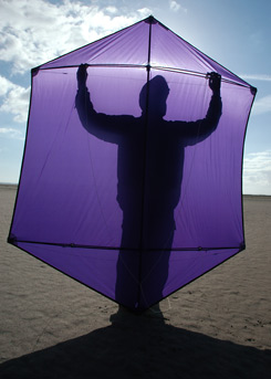 photo of me standing behind the Rokkaku in silhouette