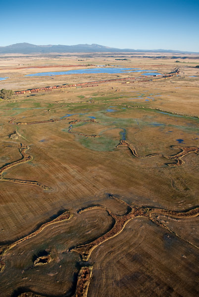 Photo by Scott Haefner: Amoeba Earth