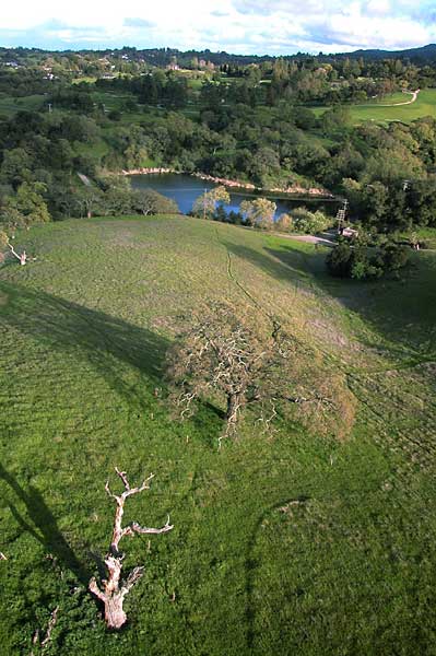 Photo by Scott Haefner: arastradero03