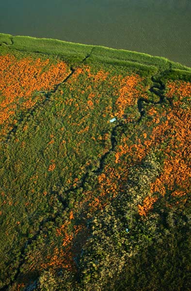 Photo by Scott Haefner: portsonoma05