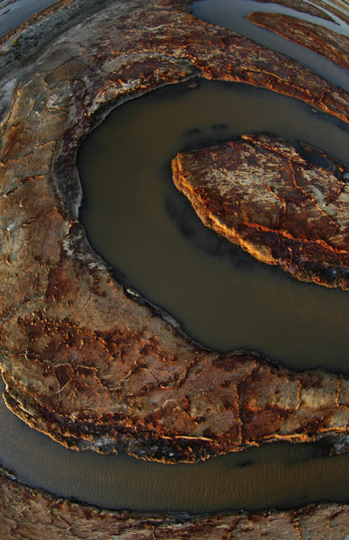 Photo by Scott Haefner: Sidewinder