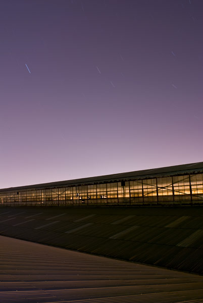 Photo by Scott Haefner: Diagonals