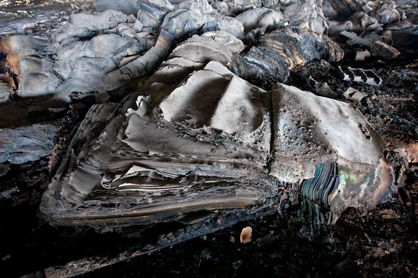 Photo by Scott Haefner: Rebirth