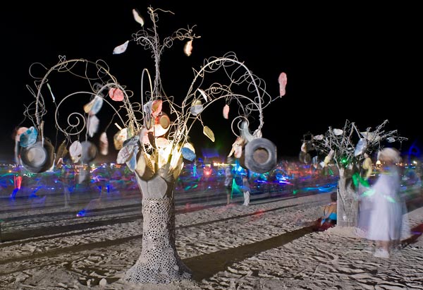Photo by Scott Haefner: Ghost Tree