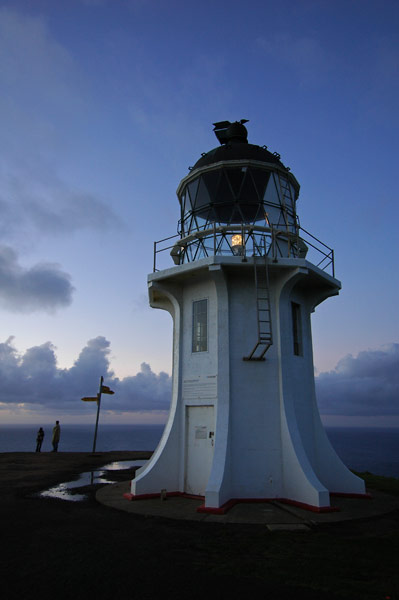 Photo by Scott Haefner: capereinga04