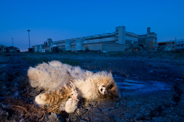 Photo by Scott Haefner: Burial in Open Air