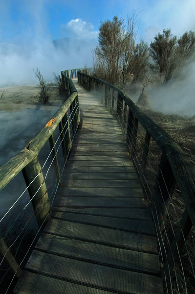 Photo by Scott Haefner: Kairua Boardwalk