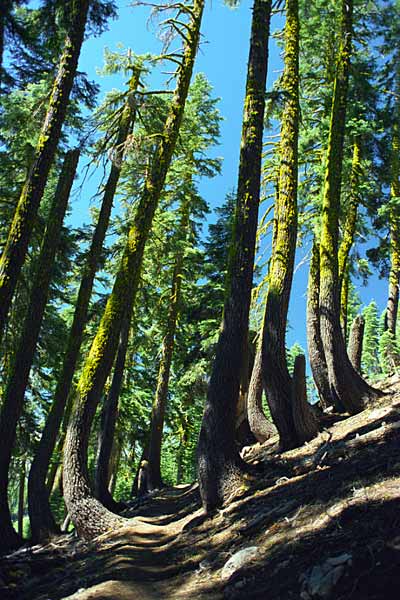 Photo by Scott Haefner: lassen