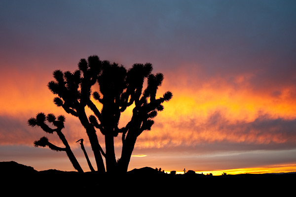 Photo by Scott Haefner: Fade to Black