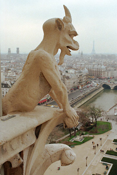 Photo by Scott Haefner: notredame