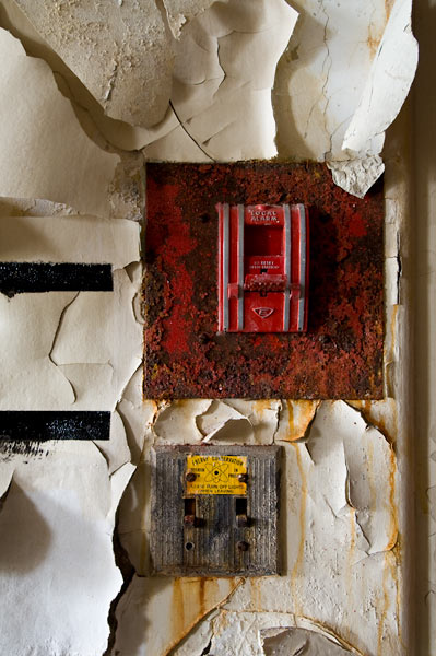 Photo by Scott Haefner: Collage