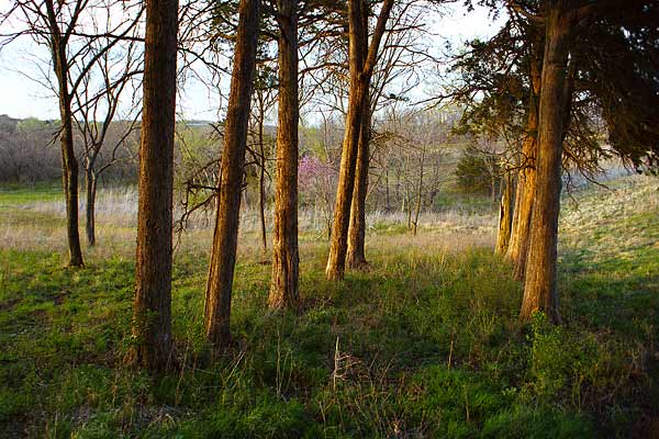 Photo by Scott Haefner: prairiecenter01