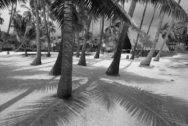 Photo by Scott Haefner: puuhonau01