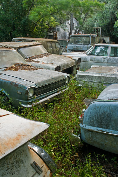 Photo by Scott Haefner: Jumble
