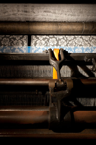 Photo by Scott Haefner: Flowers in Loom