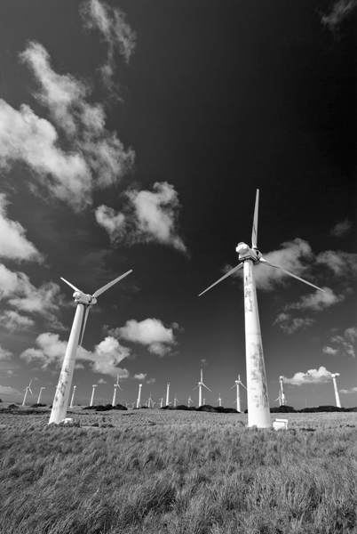 Photo by Scott Haefner: Stagnant Windmills