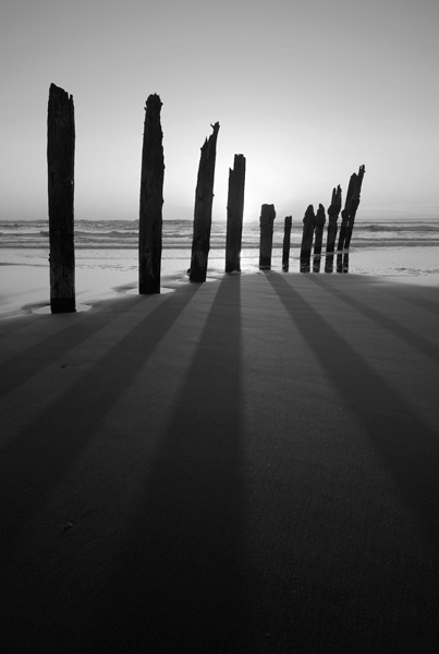 Photo by Scott Haefner: Pillars