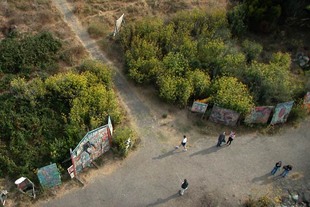 Photo: albanybulb03