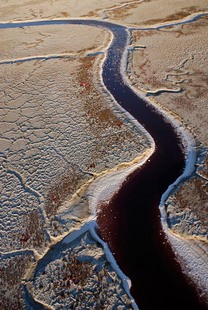 Photo by Scott Haefner: bayfrontPark02