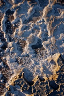 Photo: Fractal Crystals
