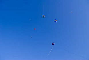 Photo: Kites Converging