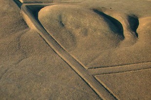 Photo: Carrizo Plain