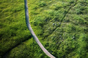 Photo: montebello
