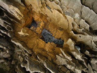 Photo: Blowhole