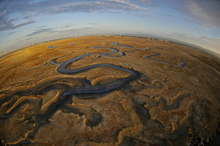 Photo by Scott Haefner: ravenswood35