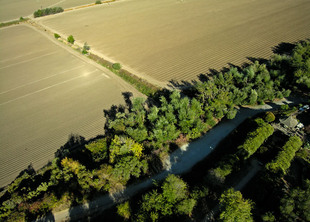 Photo: El Camino Real