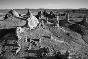 Photo: Spire Forest