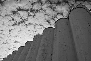 Photo: Agland03