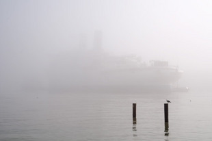 Photo by Scott Haefner: Shrouded in Mystery