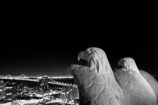 Photo: Nocturnal Vision
