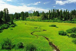 Photo: christiancreek