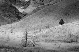 Photo: Fossil Beds