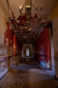 Photo by Scott Haefner: Redrum