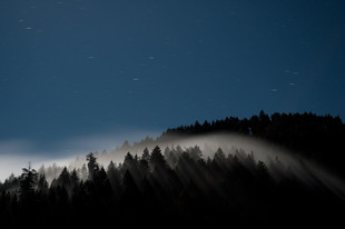 Photo: Piercing Fog