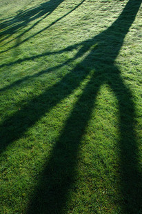 Photo by Scott Haefner: kairuapark03