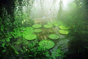 Photo: Kew Gardens
