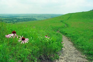 Photo: konzaprairie