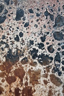Photo: Giraffe Skin