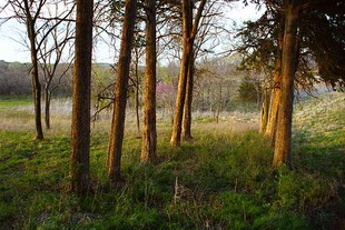 Photo: prairiecenter01