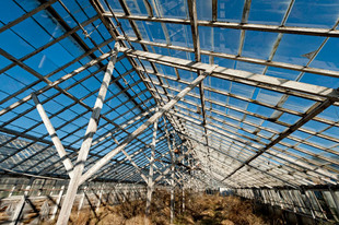 Photo by Scott Haefner: Glass Ceiling