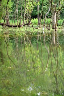 Photo: streamwaypark