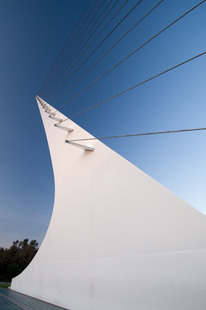 Photo: Harp Strings