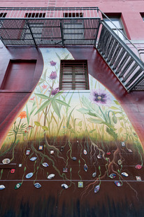 Photo: Seedlings