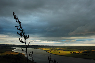 Photo: Silver River