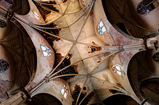 Photo: Web of Decay